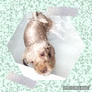 ＪＡＭにご来店♪