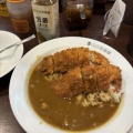 手仕込ささみカツ(2本)カレー@CoCo壱番屋