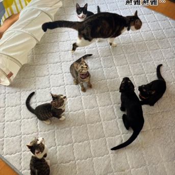 いくらなんでも暑過ぎる。