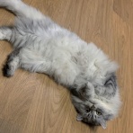 投資で億を目指す！芽伊のバイナリーブログ