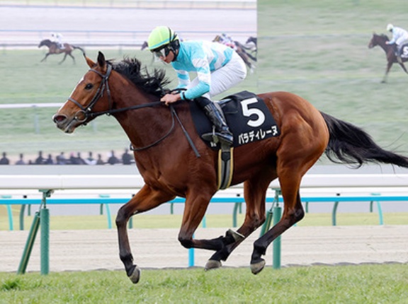 【競馬予想】[1]第44回中山牝馬ステークス(GⅢ) /2026