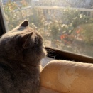 76歳のバラとの奮闘の季節が始まるよ！