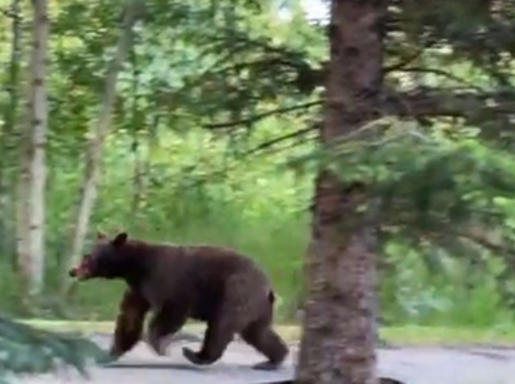 こんな所には住みたくない