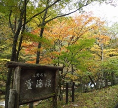 【岩手県遠野市】東北山の紅葉めぐりとマンホールカード収集東北ドライブ⑧"重湍渓＆かっぱ淵＆五右衛門ラーメン"