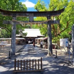 努力の上に花は咲くⅡ