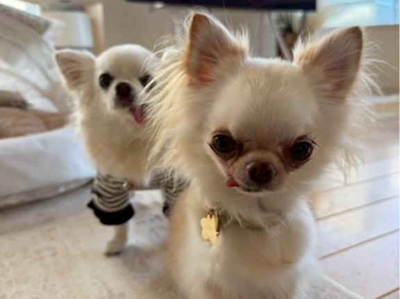 幸せを掴んだミニ、パティ💕💕✌️