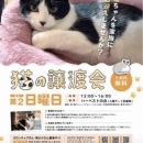 肥満細胞腫＆豚ニラ玉