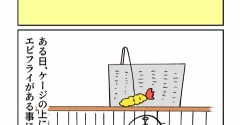 エビフライVS猫