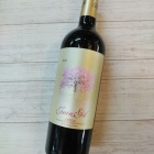 ��"������"�ȸ���̾�Υ��ڥ����֥磻��٤β���