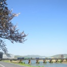 旭川・西川原で撮影
