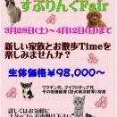 スプリングフェア☆