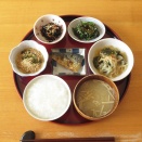 塩鯖、春雨の二杯酢、ほうれん草の磯辺和え、ひじき、酢納豆、白粥