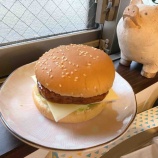 『手作りハンバーガー弁当』の画像