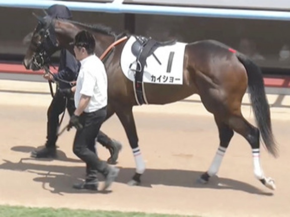 【競馬予想】[2]第57回函館2歳ステークス(GⅢ) /2025