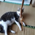 あられもないポーズ