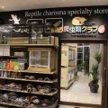 爬虫類倶楽部ファームスタッフ募集のお知らせ