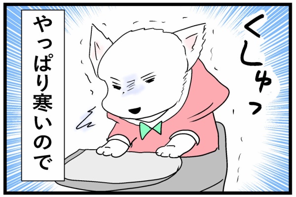 ちーちゃんっ🐾 - 自転車とちーちゃん