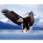 パソコン講師の雑記録