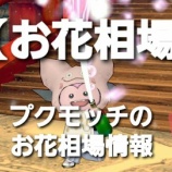 『【お花相場】プクモッチのお花相場情報１/５』の画像