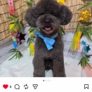 トリミング完了で