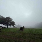 どこまでいける？キャンピングカーでの旅日記