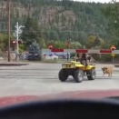 たぶんまだいけるやろ！踏切りの概念を理解しないギリギリセーフな男。海外の反応