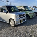 暑さ惚け