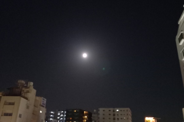 恋愛グループ女性staff Blog