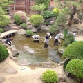 北庭池掃除　お疲れ様でした～🐟