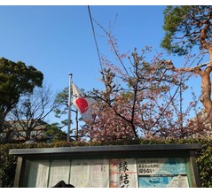 天皇誕生日に誕生日に。