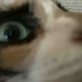 ドアップでナデナデ