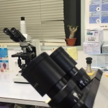 『現代科学では不可能な活きた原子を視る技法』の画像