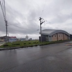 ウシ子とウシ夫の牛歩旅