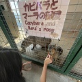 受付のひとりごと♪