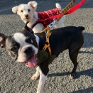 あき・ふゆ散歩のあれこれ