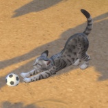 『メッセージのお返事9月18日分』の画像