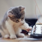 仁科カオル の YAH! YAH! YAH!