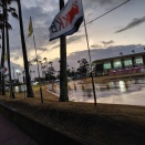 第43回いぶすき菜の花マラソン走ってきたっす٩(๑`^´๑)۶