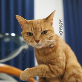 顔は意地悪っぽいけど…