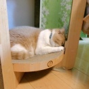 変形ごめんね??