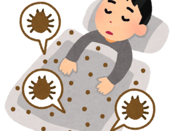 【緊急集合】ワイの部屋にダニがめちゃくちゃおるんやが