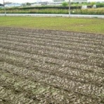 鎖屋兄弟の奮闘記