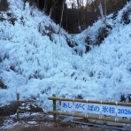 かどさんとウクレレ