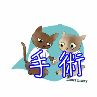 徒然獅子日記