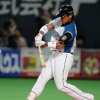 日ハムの元稲葉ってどんな選手やったんや？