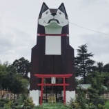 『【動物ふれあい】つくばわんわんランドに行ってきました』の画像