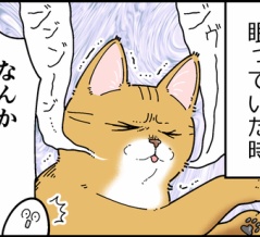 猫の悪夢