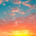 介護がきた・50代から始める独身女性の仕事と生き方