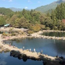 明日11日(日)もトラック放流です！