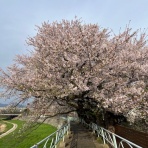 サングラスとメガネのプロショップ